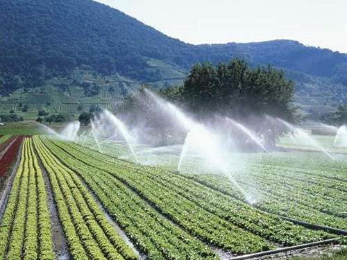 Agricultural Irrigation