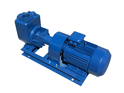 Self-Priming Centrifugal Sewage Pump, DJ/DJZ Series