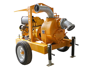 Diesel Engine Driven Pump