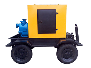 Diesel Engine Driven Pump